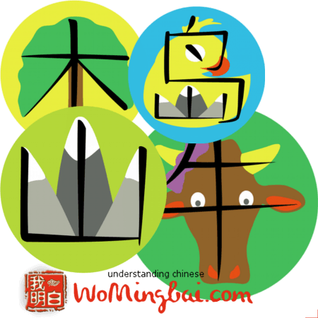 visually illustrated chineses characters